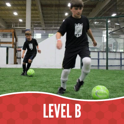SI-LEVEL-B